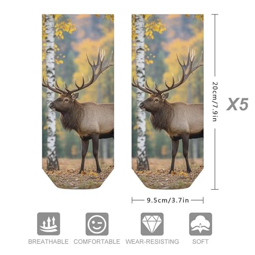 5 Pairs of Cotton Ankle Socks for Women Men Fall Birch Leaves Elk Low Cut Socks for Running Hiking No Show Athletic Sock