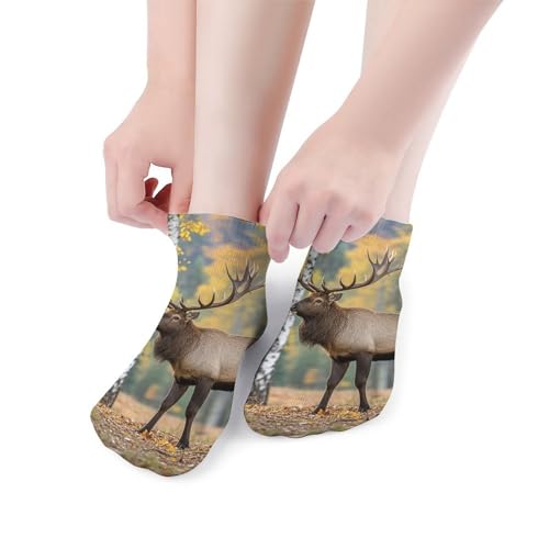 5 Pairs of Cotton Ankle Socks for Women Men Fall Birch Leaves Elk Low Cut Socks for Running Hiking No Show Athletic Sock