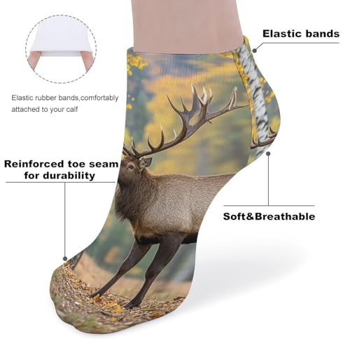 5 Pairs of Cotton Ankle Socks for Women Men Fall Birch Leaves Elk Low Cut Socks for Running Hiking No Show Athletic Sock