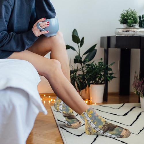 5 Pairs of Cotton Ankle Socks for Women Men Fall Birch Leaves Elk Low Cut Socks for Running Hiking No Show Athletic Sock